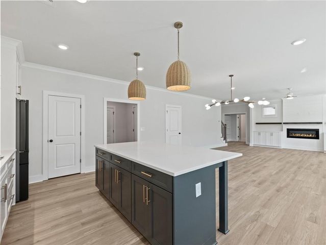 4386 Hosch Reserve Court, Buford, GA 30519