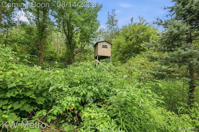 201 S Mapleleaf Road, Lapeer, MI 48446
