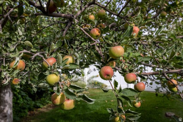 1050 S GRANDVIEW DR, Providence, UT 84332