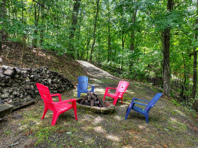 1579 Mangums Trail, Blue Ridge, GA 30513