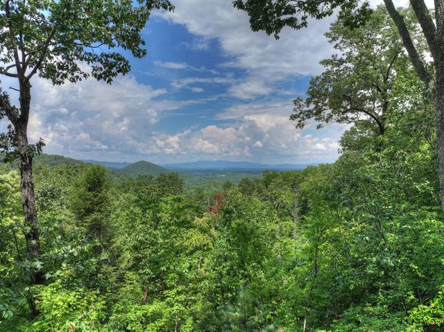 1579 Mangums Trail, Blue Ridge, GA 30513