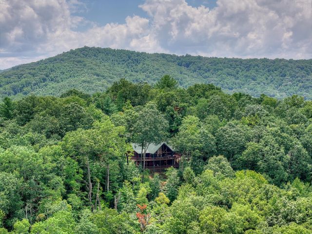 1579 Mangums Trail, Blue Ridge, GA 30513