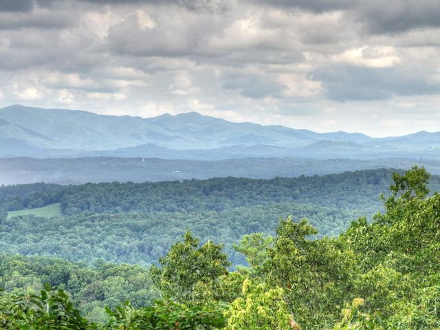 1579 Mangums Trail, Blue Ridge, GA 30513