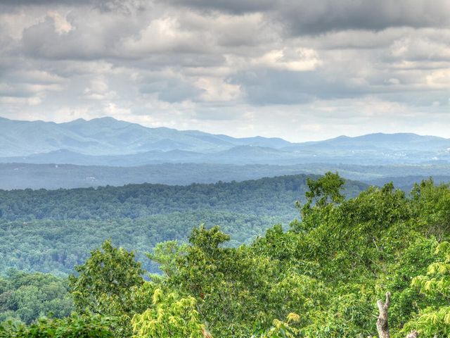 1579 Mangums Trail, Blue Ridge, GA 30513