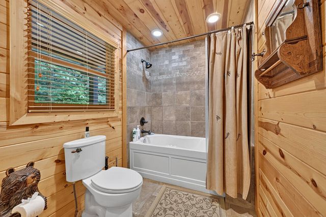 1579 Mangums Trail, Blue Ridge, GA 30513