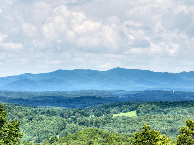 1579 Mangums Trail, Blue Ridge, GA 30513