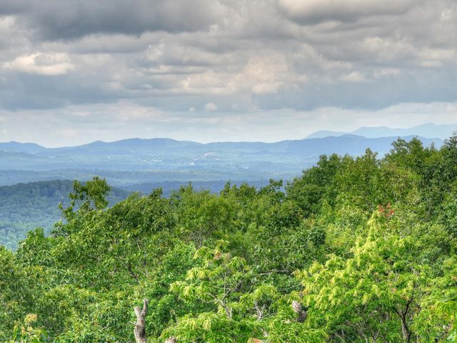 1579 Mangums Trail, Blue Ridge, GA 30513