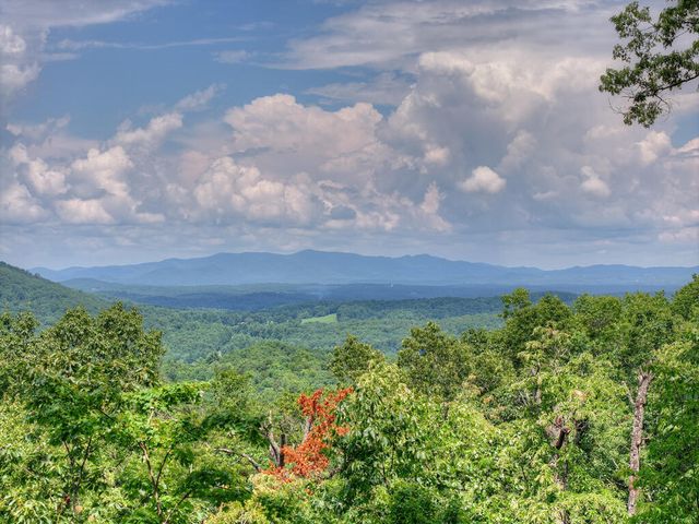1579 Mangums Trail, Blue Ridge, GA 30513