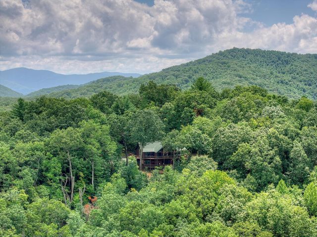 1579 Mangums Trail, Blue Ridge, GA 30513