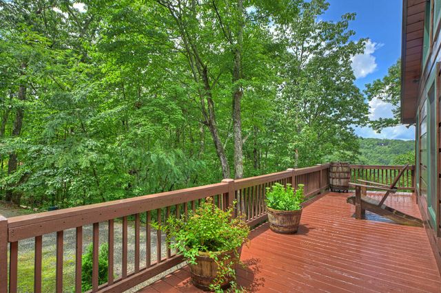 1579 Mangums Trail, Blue Ridge, GA 30513