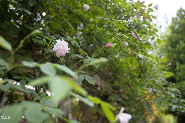 3611 Rugby Road, Durham, NC 27707