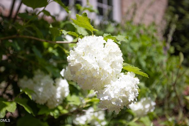 3611 Rugby Road, Durham, NC 27707