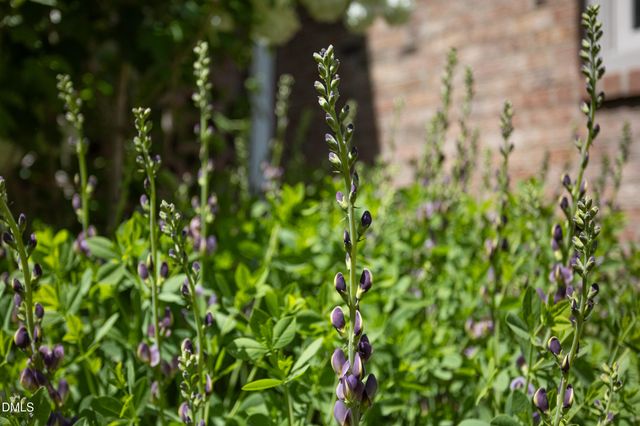 3611 Rugby Road, Durham, NC 27707