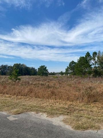 40 MAPLE LANE, Ocklawaha, FL 32179