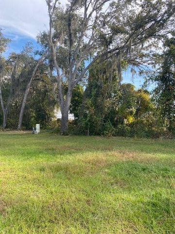 40 MAPLE LANE, Ocklawaha, FL 32179