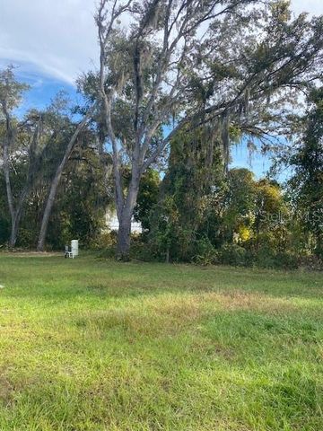 40 MAPLE LANE, Ocklawaha, FL 32179