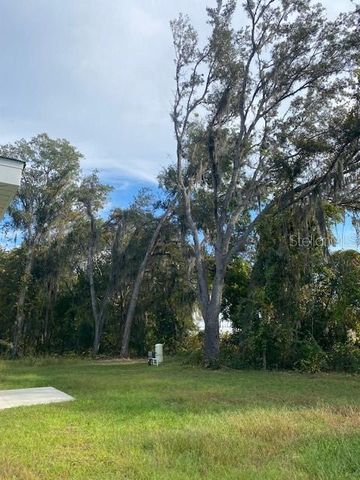 40 MAPLE LANE, Ocklawaha, FL 32179