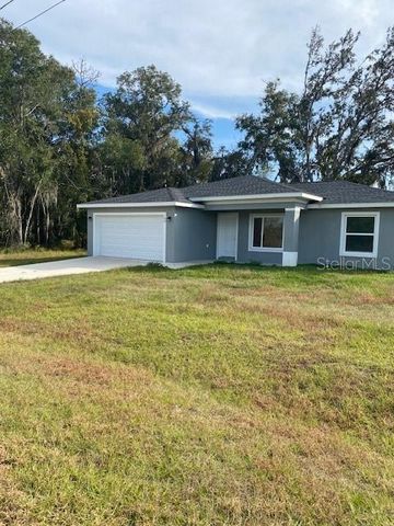 40 MAPLE LANE, Ocklawaha, FL 32179