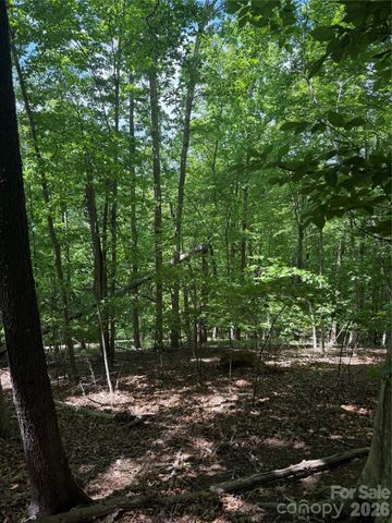0 Creekside Circle 135, Rutherfordton, NC 28139