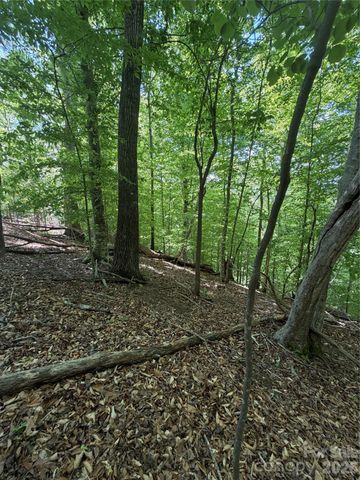 0 Creekside Circle 135, Rutherfordton, NC 28139