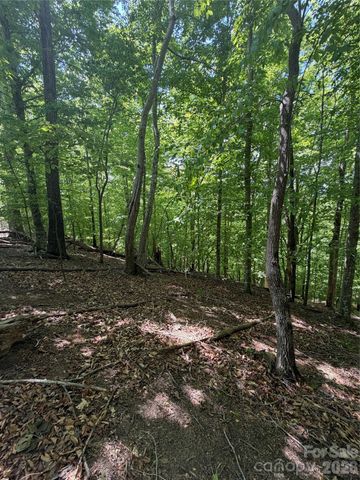 0 Creekside Circle 135, Rutherfordton, NC 28139