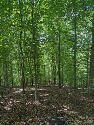 0 Creekside Circle 135, Rutherfordton, NC 28139