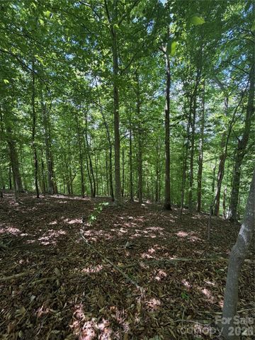 0 Creekside Circle 135, Rutherfordton, NC 28139
