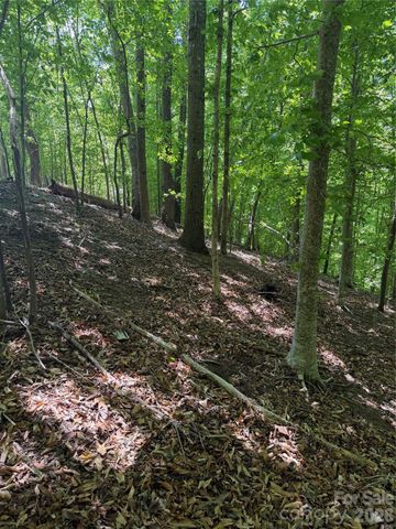0 Creekside Circle 135, Rutherfordton, NC 28139
