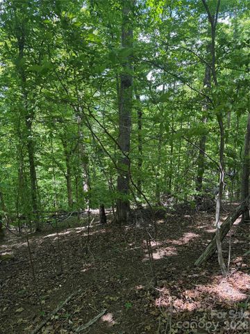 0 Creekside Circle 135, Rutherfordton, NC 28139