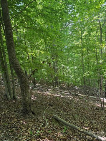 0 Creekside Circle 135, Rutherfordton, NC 28139