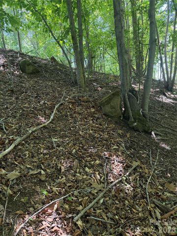 0 Creekside Circle 135, Rutherfordton, NC 28139