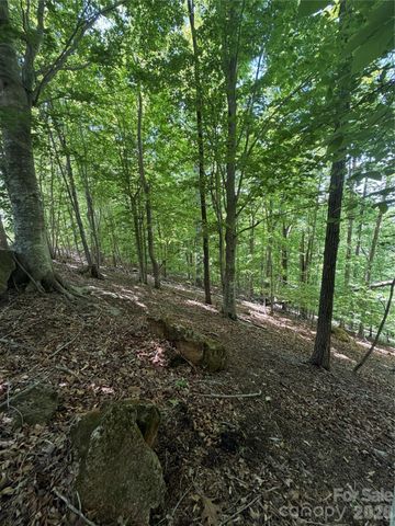 0 Creekside Circle 135, Rutherfordton, NC 28139