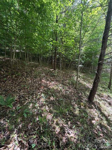 0 Creekside Circle 135, Rutherfordton, NC 28139