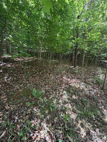 0 Creekside Circle 135, Rutherfordton, NC 28139