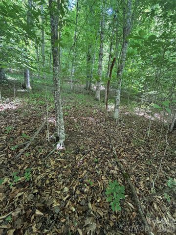0 Creekside Circle 135, Rutherfordton, NC 28139