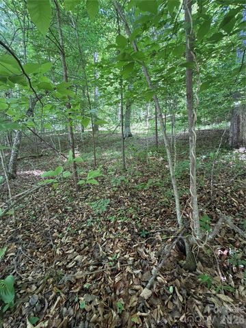 0 Creekside Circle 135, Rutherfordton, NC 28139