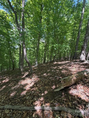 0 Creekside Circle 135, Rutherfordton, NC 28139
