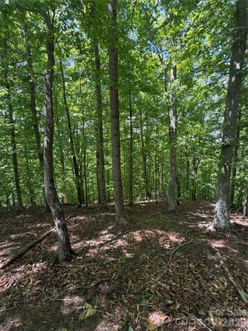 0 Creekside Circle 135, Rutherfordton, NC 28139