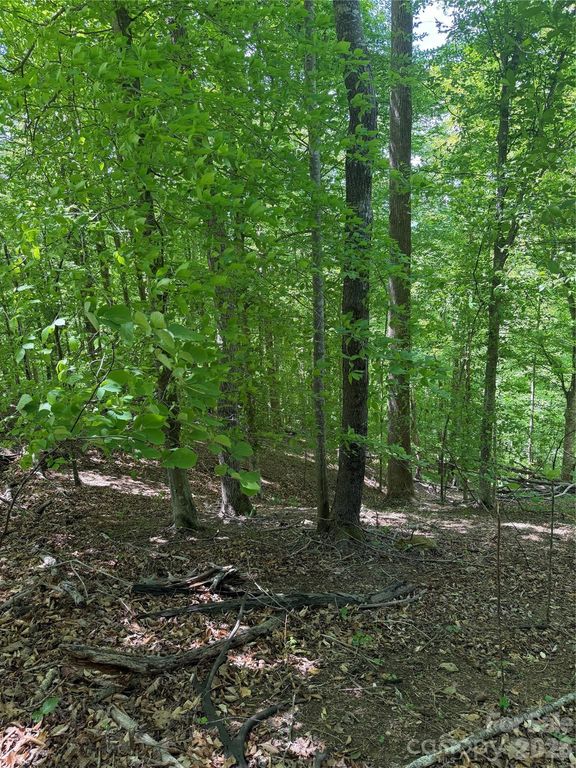 0 Creekside Circle 135, Rutherfordton, NC 28139