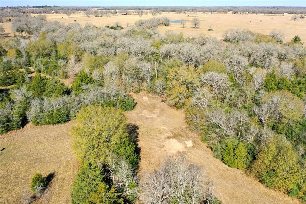 5 acres Manning Lane, Madisonville, TX 77864 — exterior