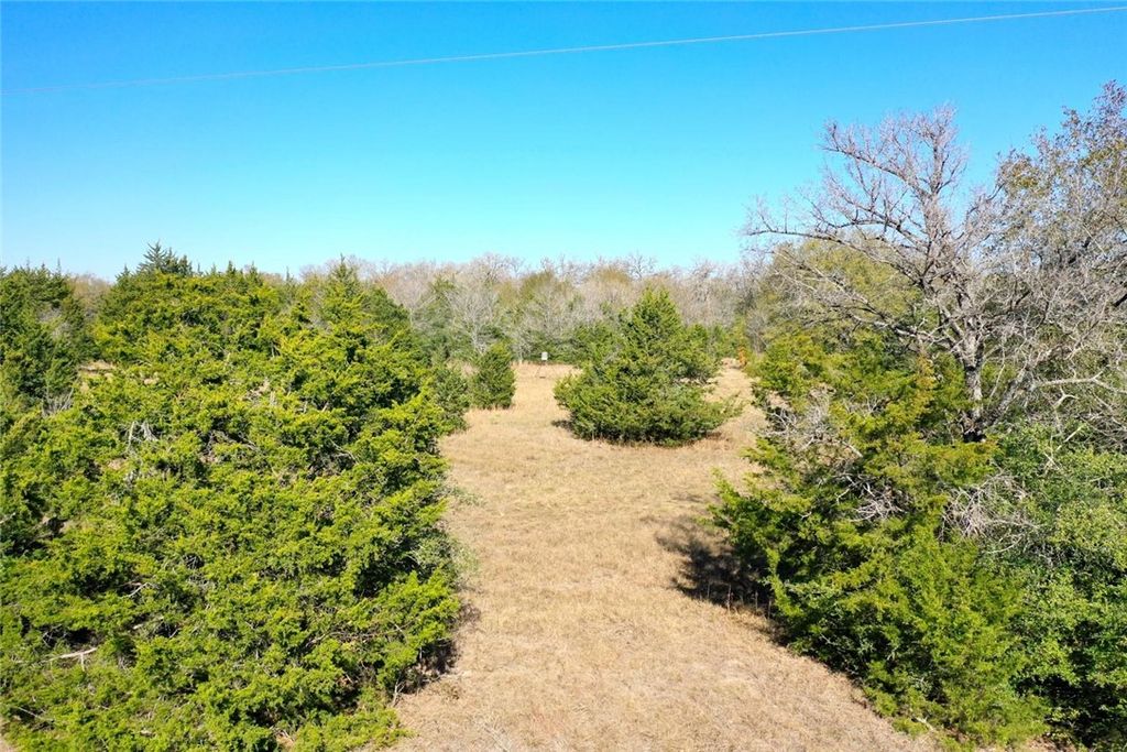 5 acres Manning Lane, Madisonville, TX 77864 — photo 2