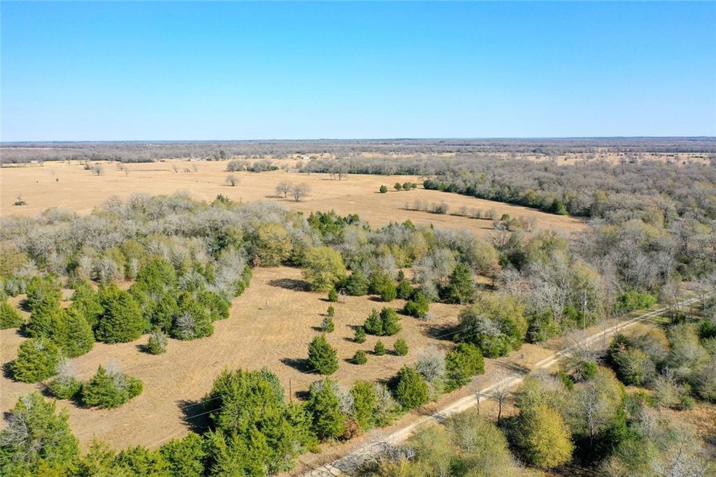 5 acres Manning Lane, Madisonville, TX 77864 — photo 3