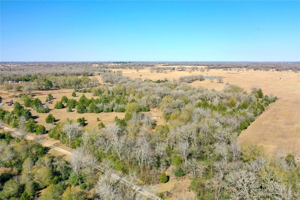 5 acres Manning Lane, Madisonville, TX 77864 — photo 4