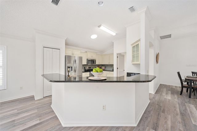 3195 MANSFIELD STREET, The Villages, FL 32162