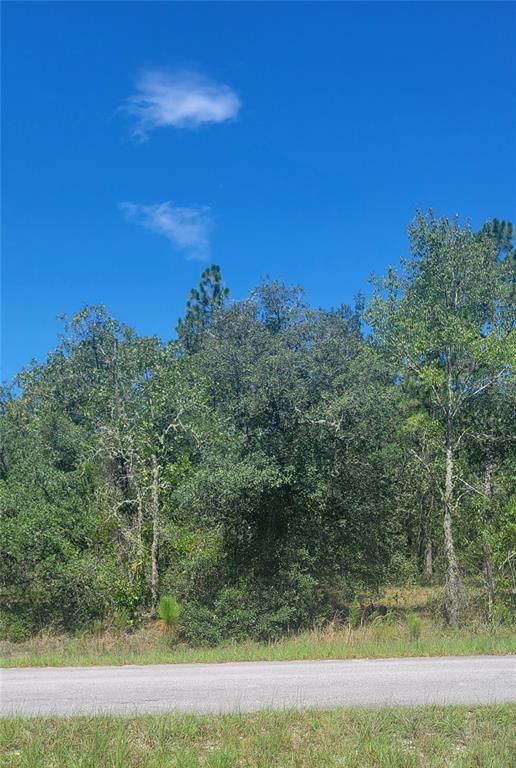 0 SW BIG BEAR RIDGE, Dunnellon, FL 34431