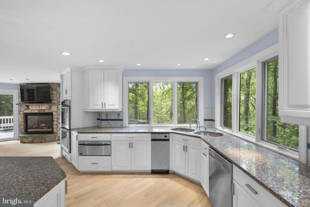 10701 SYCAMORE SPRINGS LN, Great Falls, VA 22066
