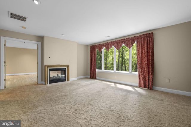 10701 SYCAMORE SPRINGS LN, Great Falls, VA 22066