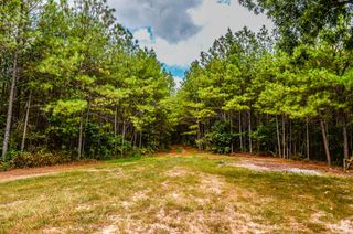 0 Brush Creek Road, Hohenwald, TN 38462