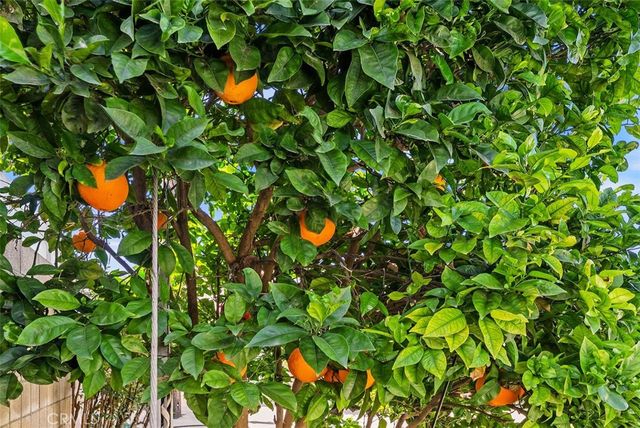 8792 Grindlay, Cypress, CA 90630