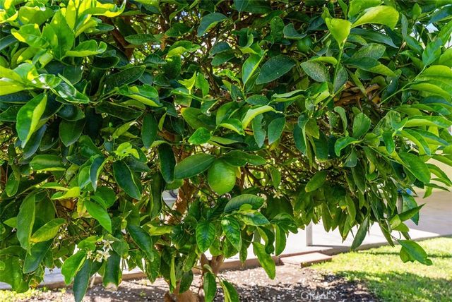 8792 Grindlay, Cypress, CA 90630